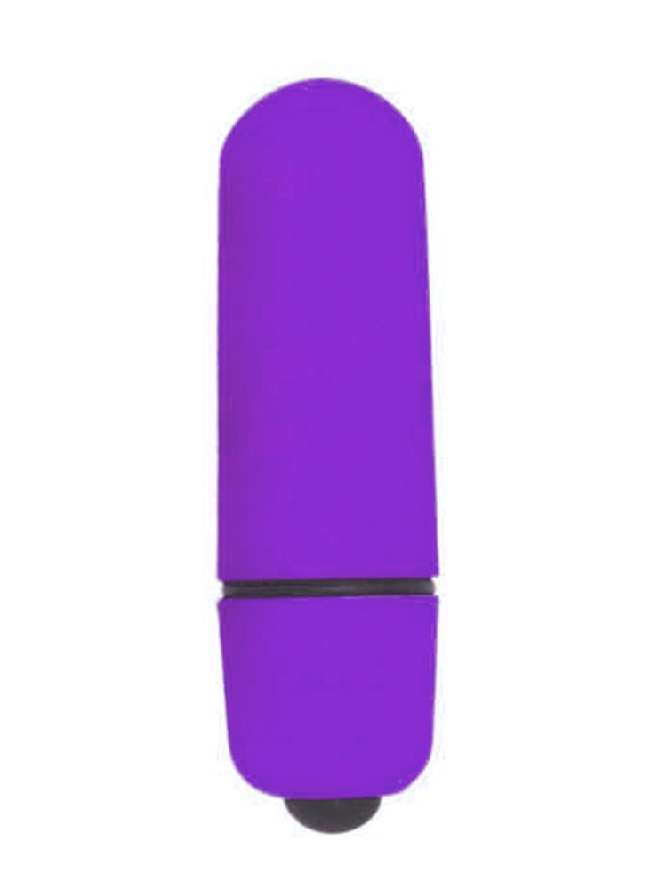 10 Speed Purple Mini Bullet