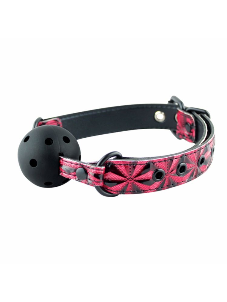 Red &amp; Black Ball Gag