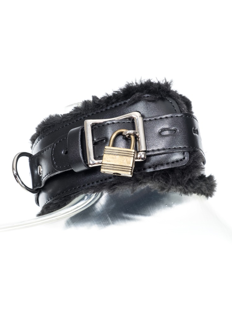 Fur-lined Collar