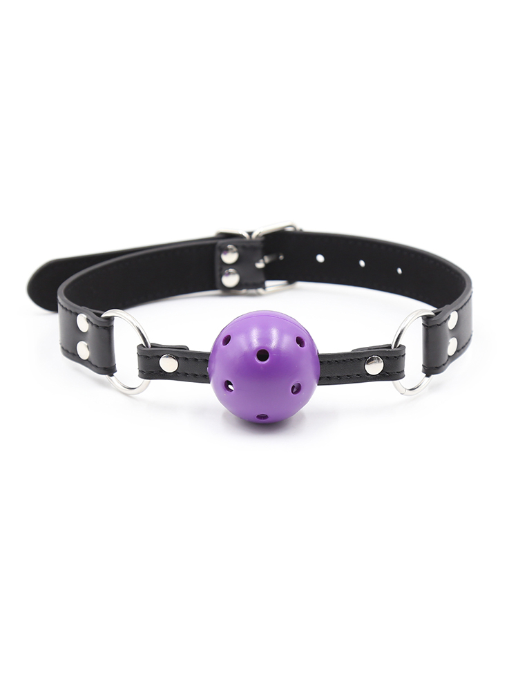 Black &amp; Purple Breathable Mouth Gag