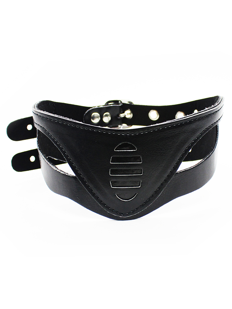 Decorative Posture Collar