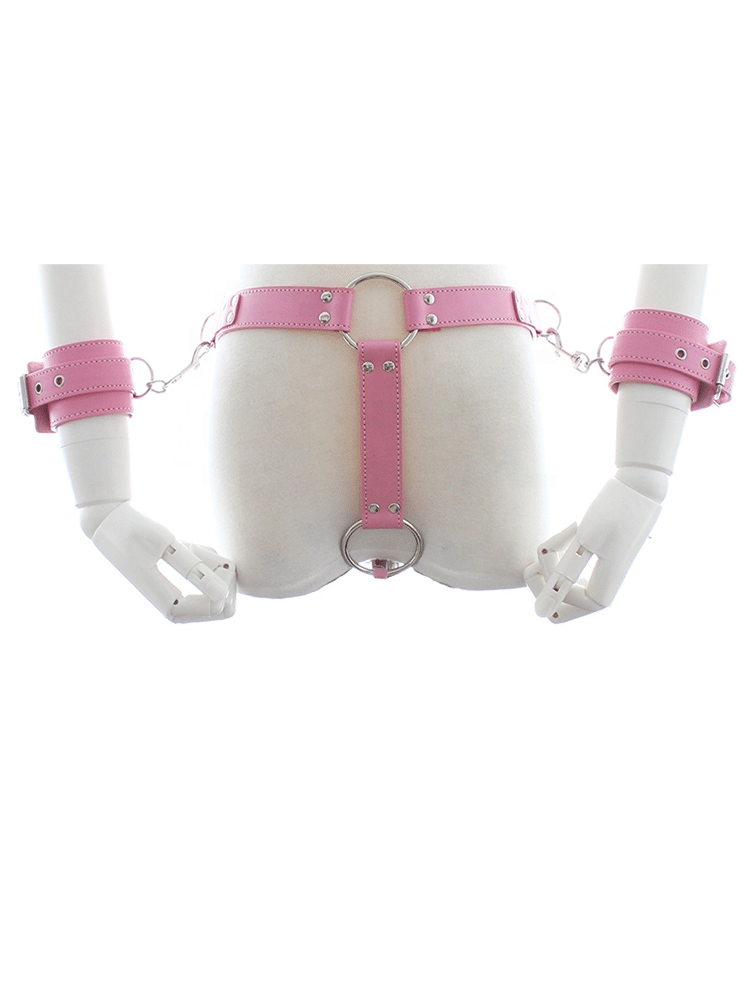 Pink Wrist and Waist Pink Restraint Harness